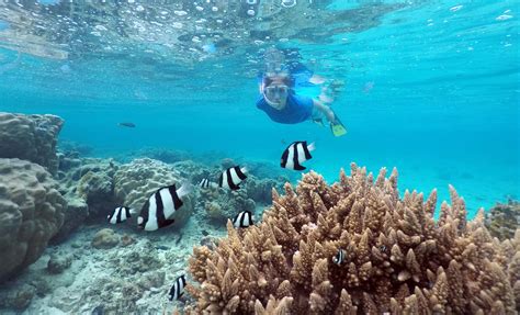 mystery island tsrip|Shore Excursions .